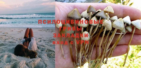 крисы Саяногорск