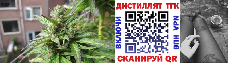 ТГК Wax  Дятьково 